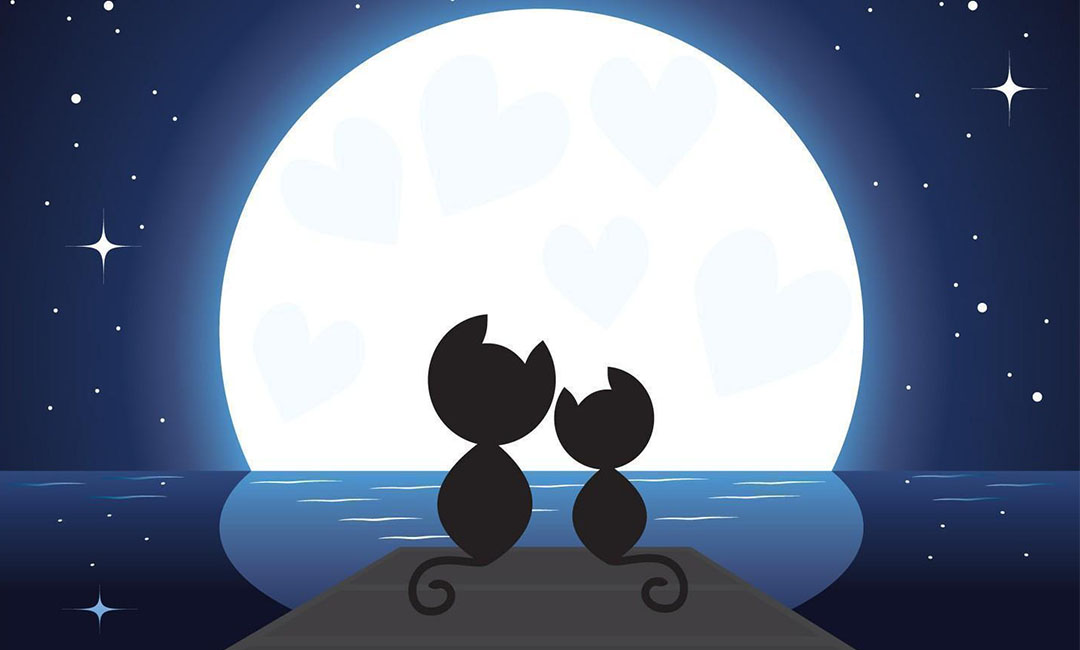 保山潮客汇微信活动策划案例